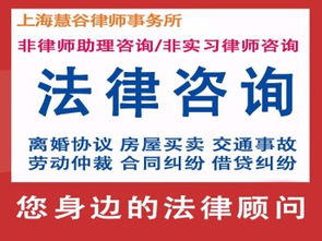 上海法律咨詢 律師會見、取保候?qū)?、減刑緩刑辯護服務(wù)詳解